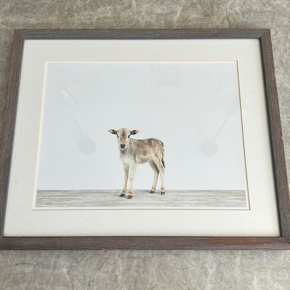 Restoration Hardware wall decor baby animal portrait calf RH baby and child